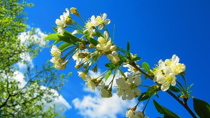 2019年建军节出生男孩缺火怎么样起名字