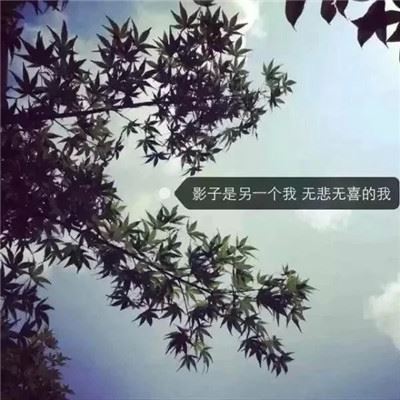 寓意好吉祥的眼镜店名字大全(图)