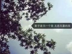 寓意好吉祥的眼镜店名字大全