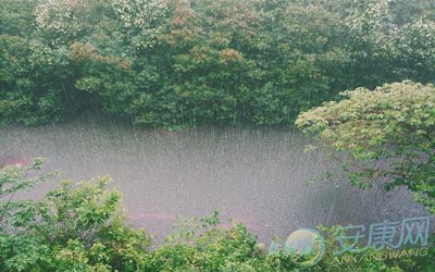 梦见暴雨是什么意思