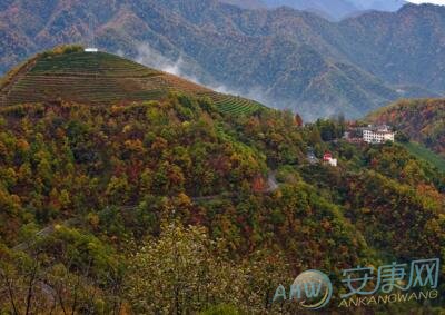 做梦梦见大山好不好是什么意思