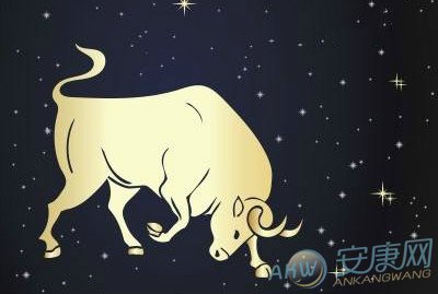 星座与职场之金牛座篇(图)