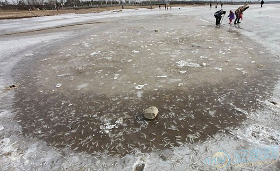 周公解梦梦见河水结冰是什么意思