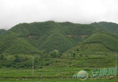 怎样破坟地风水(图)