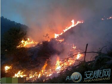 梦境解析-孕妇梦见大火烧山的预兆介绍是什么意思