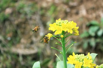 2019年儿童节出生男孩五行缺水怎么样起名字