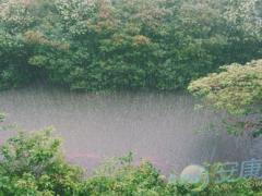 梦见暴雨是什么意思