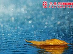 做梦梦见下雨了是什么意思