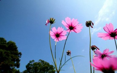 青年节出生的男孩性格好吗 起什么名字合适(图)