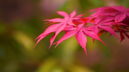 母亲节凌晨出生的男孩起什么名字合适(图)