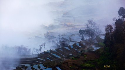 植树节出生的男孩格好吗 起什么名字合适(图)