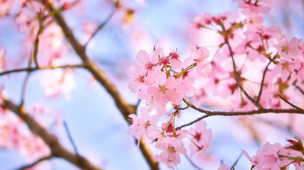 青年节出生的男孩怎么样起名字(图)