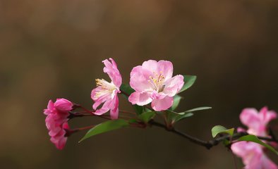 劳动节晚上出生的男孩起什么名字合适(图)