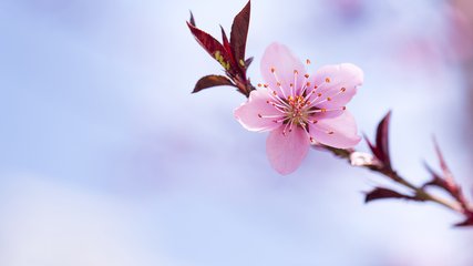 儿童节凌晨出生的男孩起什么名字合适(图)