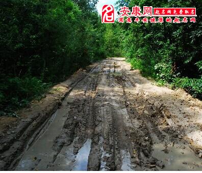 梦见泥泞道路意味着什么是什么意思