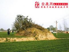 梦见坟墓裂开意味着什么是什么意思