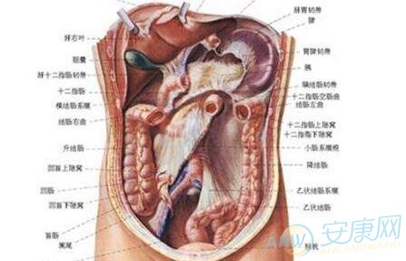 梦见割内脏是什么意思