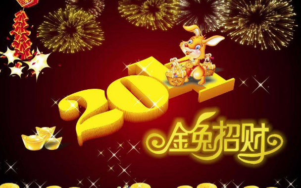 2011年是什么年