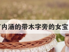 好听有内涵的带木字旁的女宝宝名字