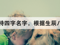 好听独特四字名字，根据生辰八字起名