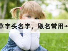 好听的草字头名字，取名常用艹字头字