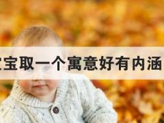 怎么给宝宝取一个寓意好有内涵的好名字