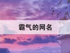 霸气的网名