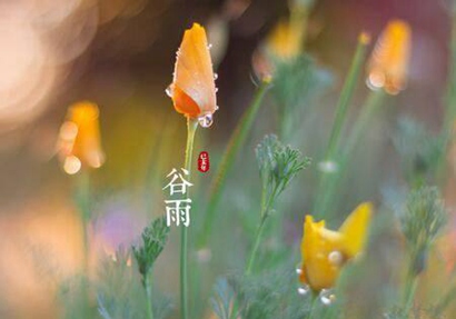 2019猪年谷雨节气4月20号出生男孩五行缺水起名推荐