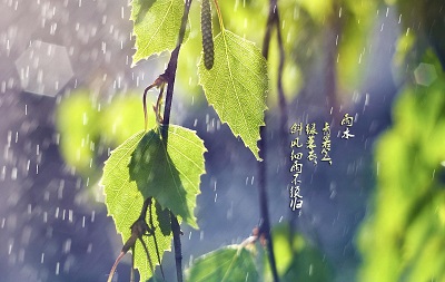 020年雨水是哪天？雨水出生的女孩起名怎么起？"