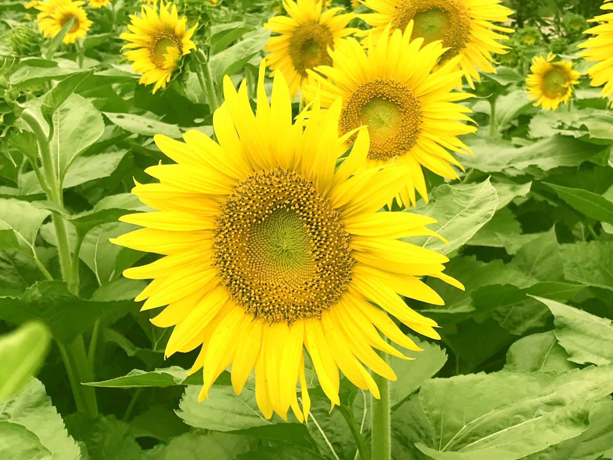 2019年中秋节出生的男宝宝起什么名字好，五行属什么