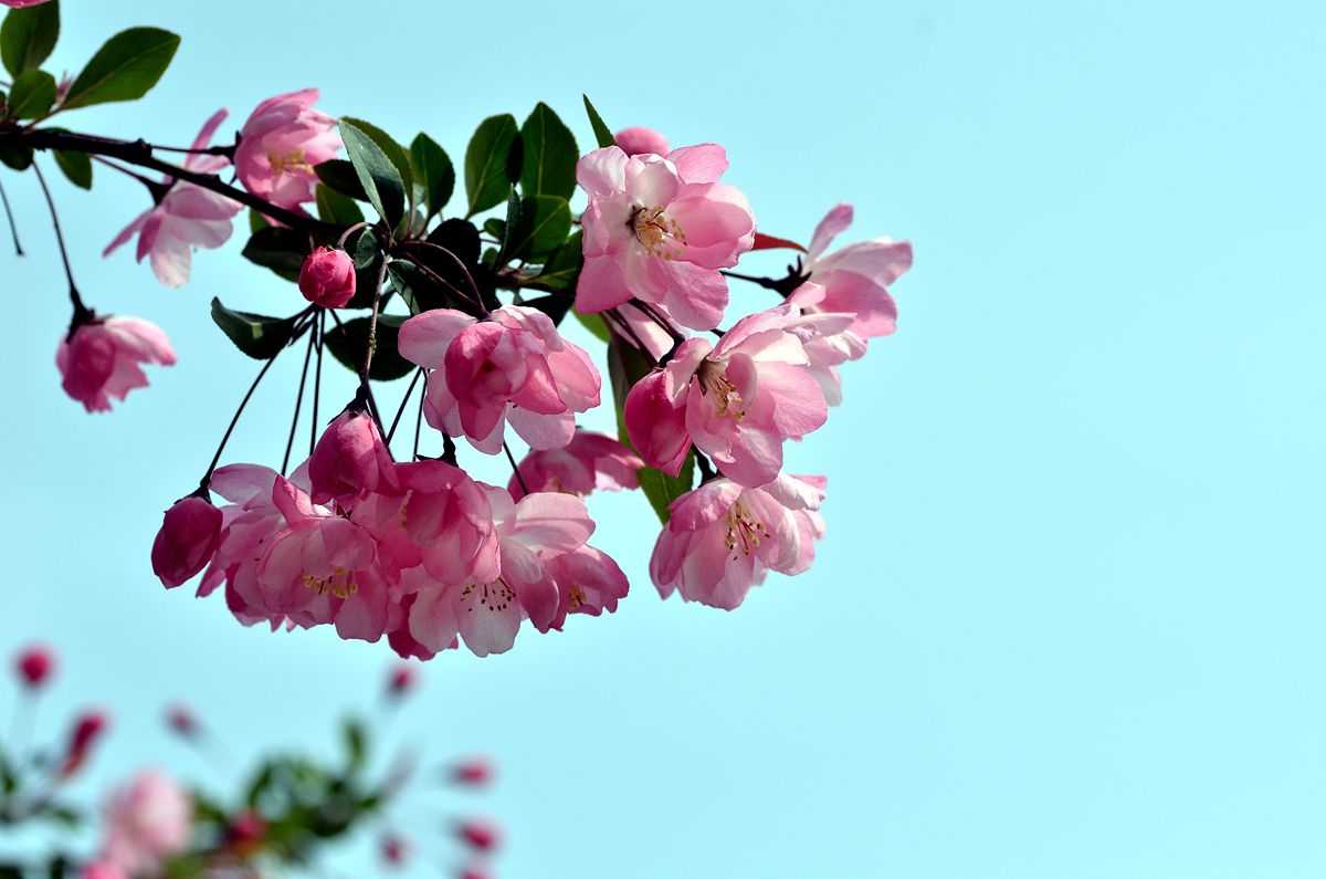 5月11号上午10点出生的女孩如何起名，宜用什么字