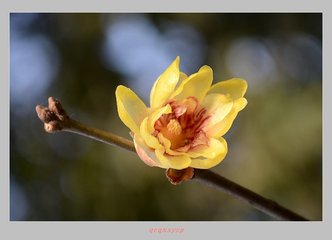 5月13号上午10点出生的女孩如何起名，常用的名字有哪些