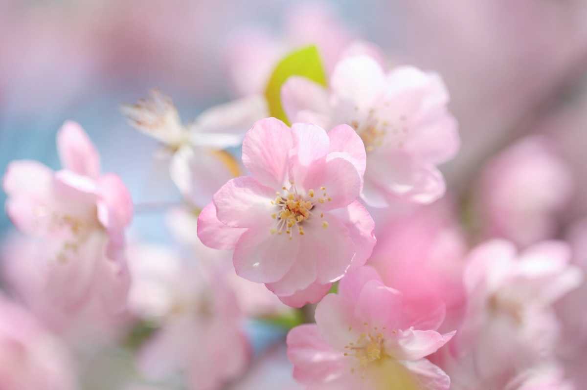 5月11号早上6点出生的女孩如何起名，用什么字比较好