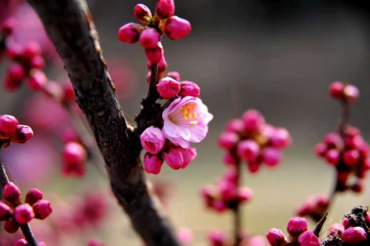 端午节出生的女宝宝怎么样起名字