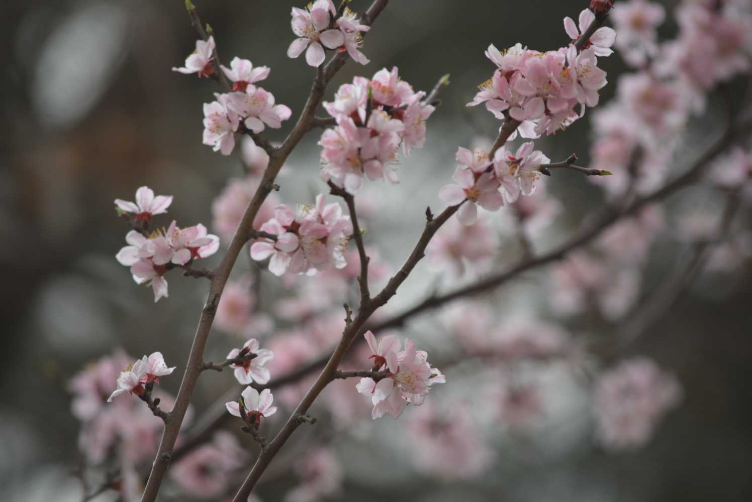 2019猪年青年节出生的女宝宝五行缺木要如何起名字吧。