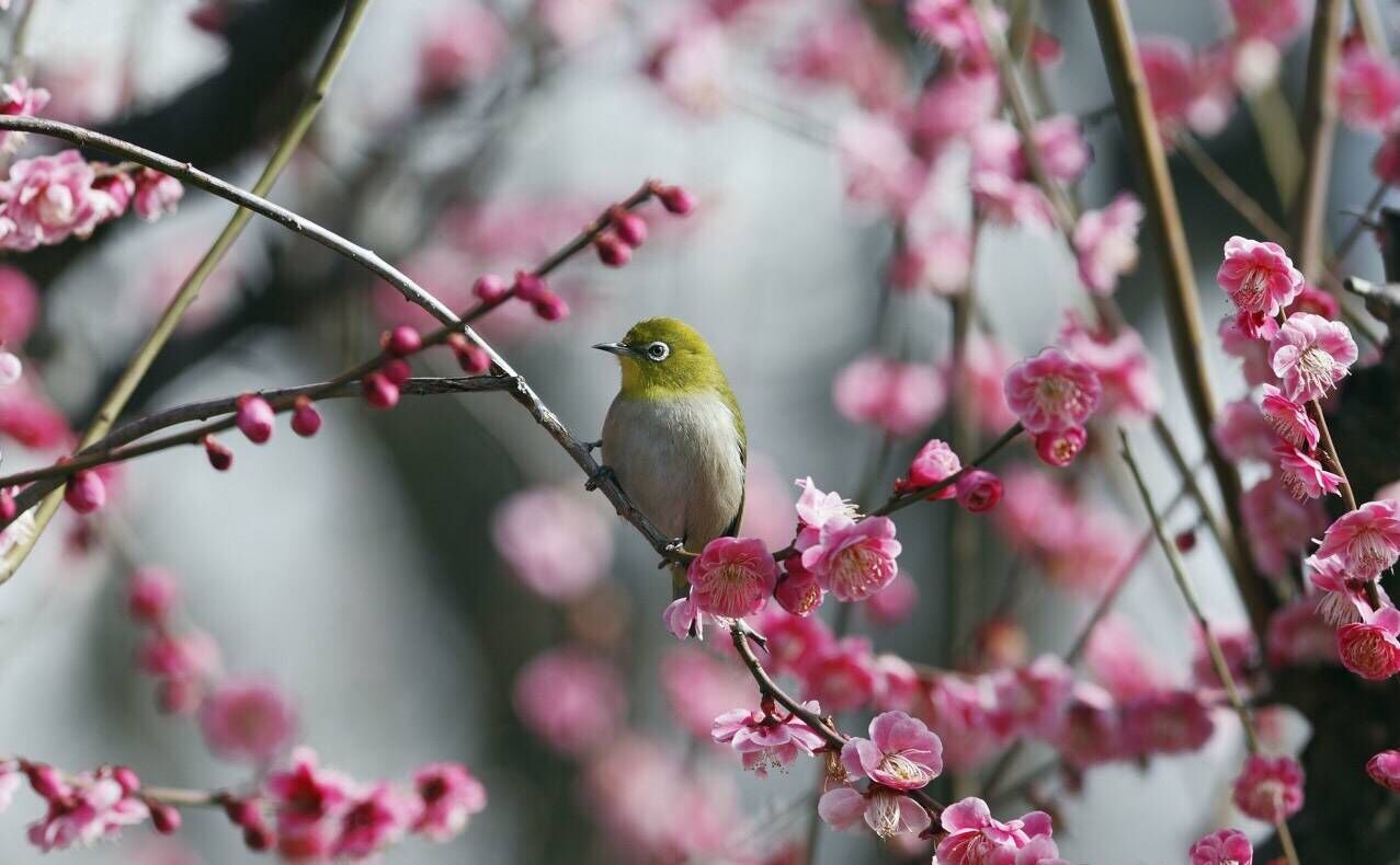 教师节出生的女宝宝起名方法，宜用什么字