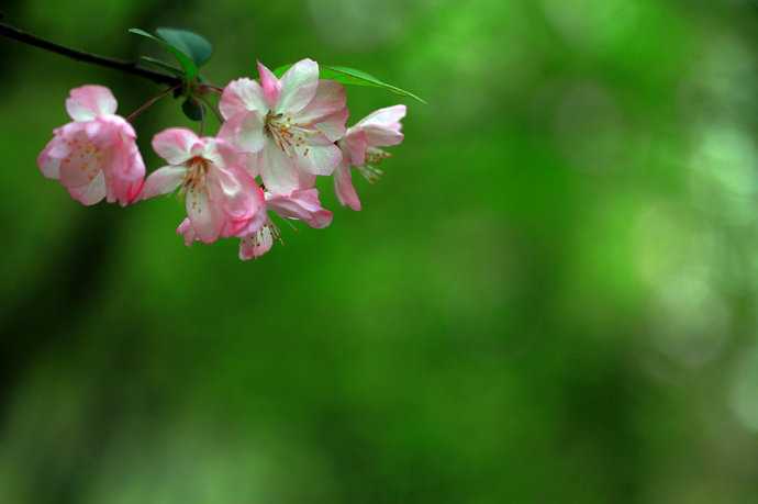 5月15号上午11点出生的女孩如何起名，起名方法