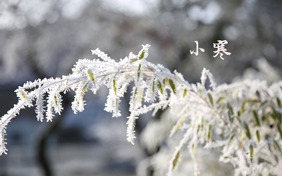 020小寒后一天十一月二十三日出生的男孩如何起名？"