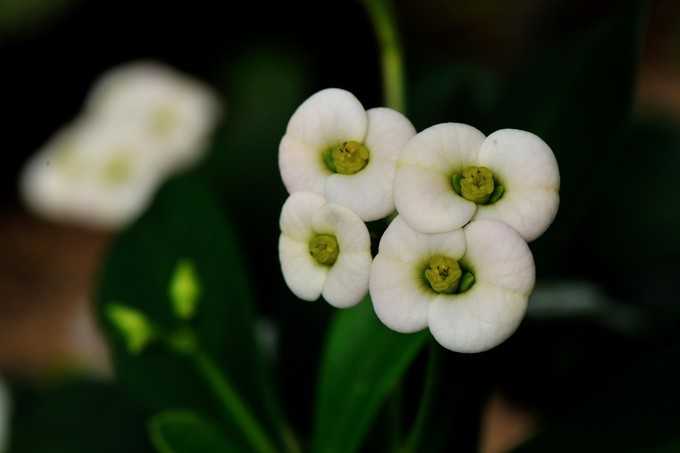 5月17号上午11点出生的女孩如何起名，起名方法