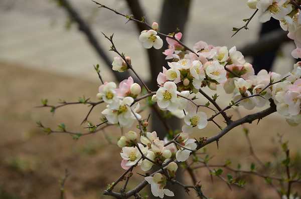 儿童节出生的女宝宝格好吗，起什么名字好听