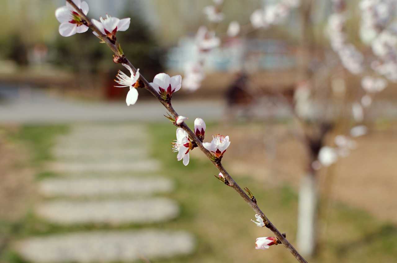 2019年下元节出生的女宝宝性格好吗，起什么名字好听