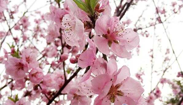 5月10号晚上11点出生的女孩如何起名，需要注意的事项