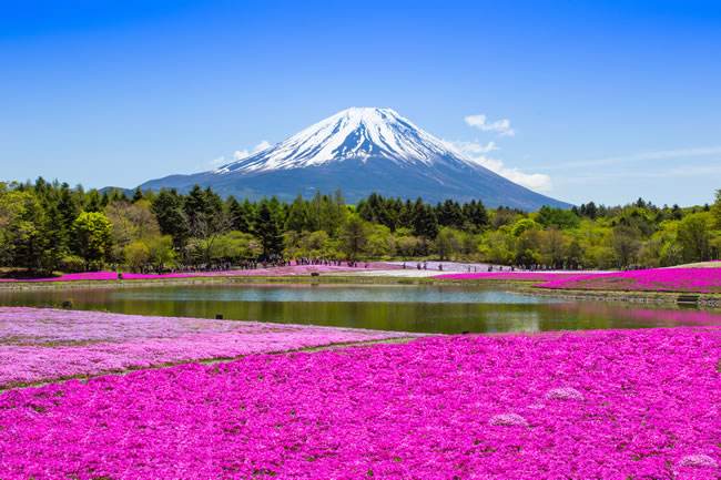 2019年4月29号凌晨出生的女宝宝好的取名方法推荐