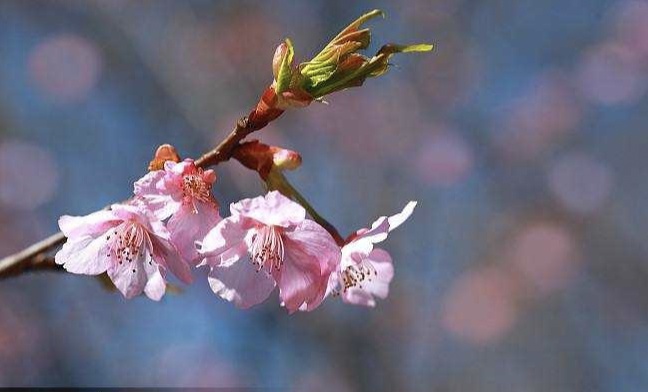 2019年4月26号出生的女孩起什么名字比较好，宜用什么字