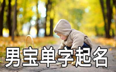 有哪些单字适合给男宝宝起名