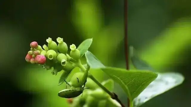 2019年4月23号中午出生的女宝宝取名有哪些要注意的