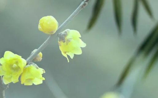 最新的姓李的男孩名字，带解释 好听有内涵