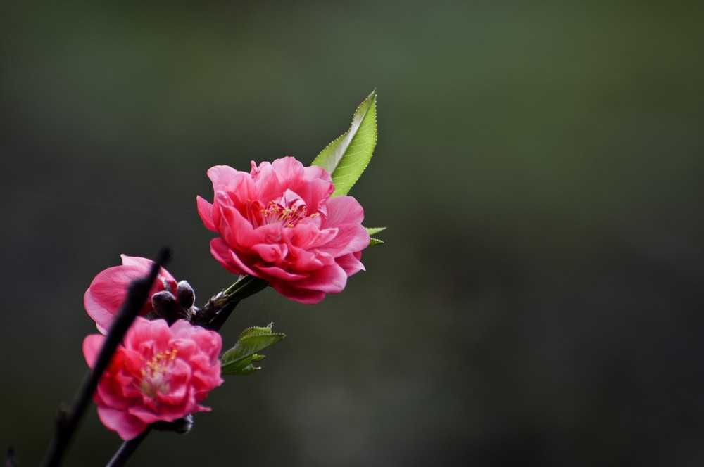 教师节出生的男宝宝起名带什么字好，用哪些字比较合适