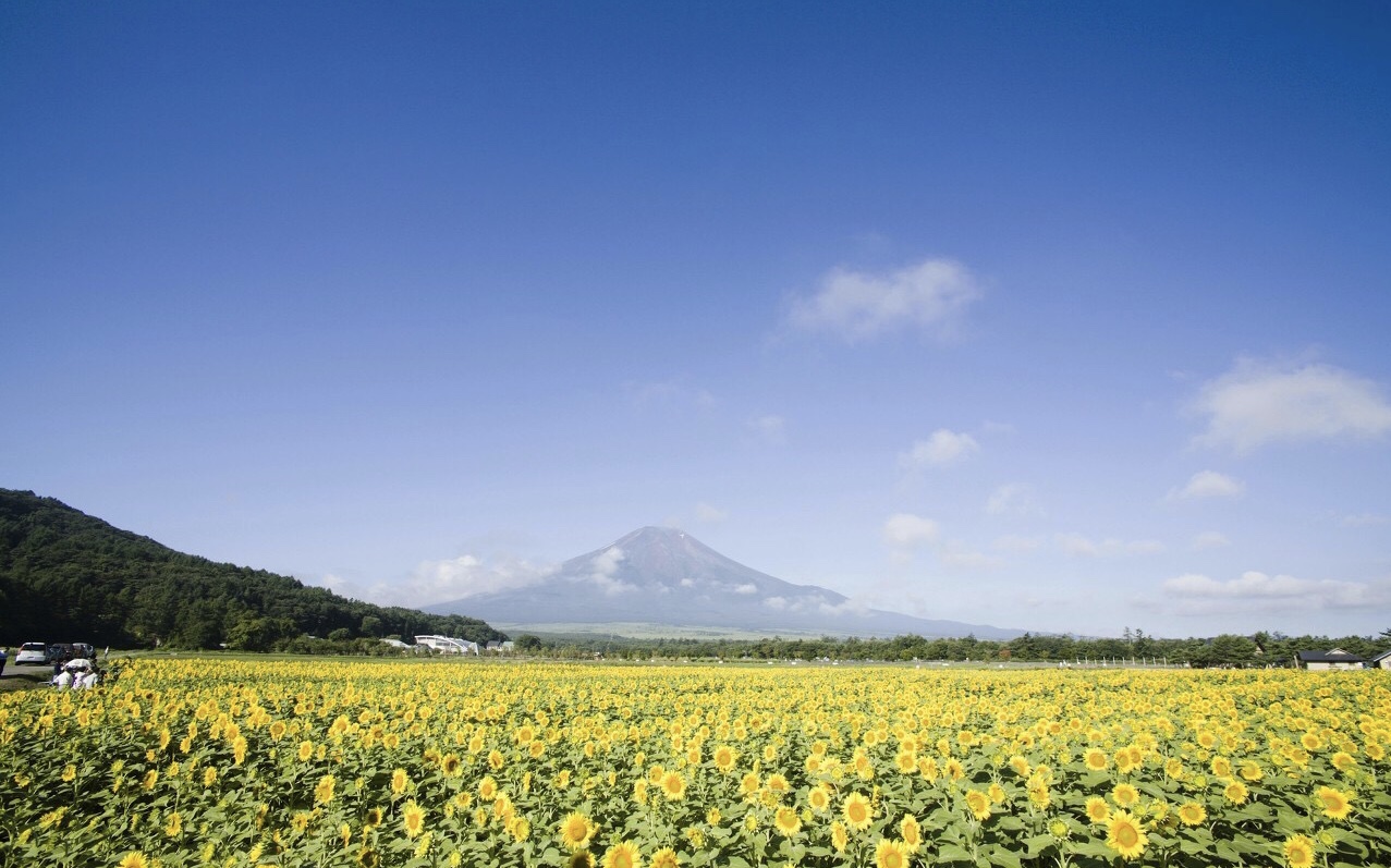 公历2019年4月16号未时出生的女宝宝怎么取名字，宜用字有哪些