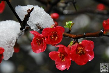 5月13号上午10点出生的女孩如何起名，常用的名字有哪些